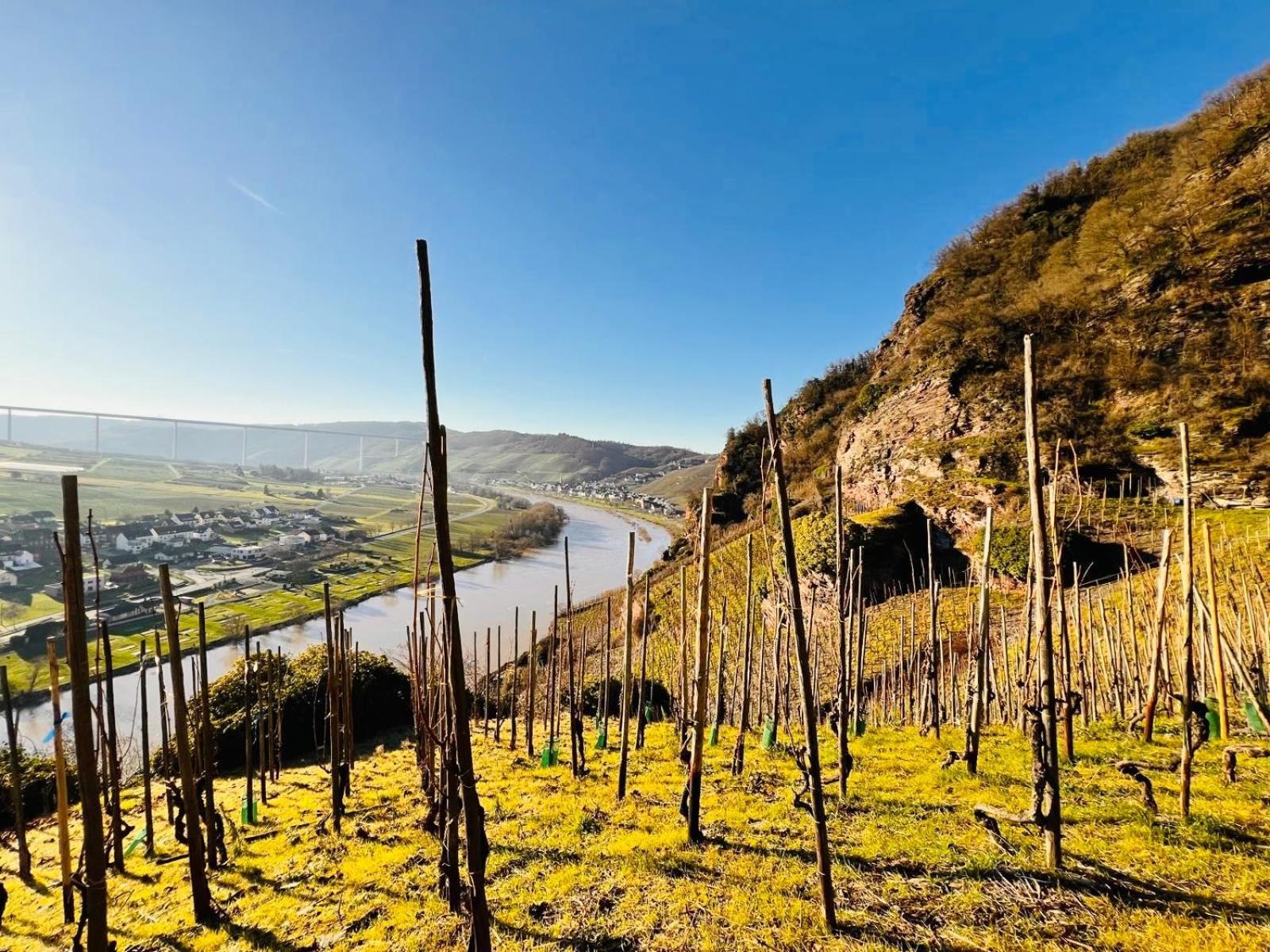 Gut Foersterlay - Exklusive Boutique Apartments Im Historischen Winzerhaus Direkt An Der Mosel Losnich ภายนอก รูปภาพ
