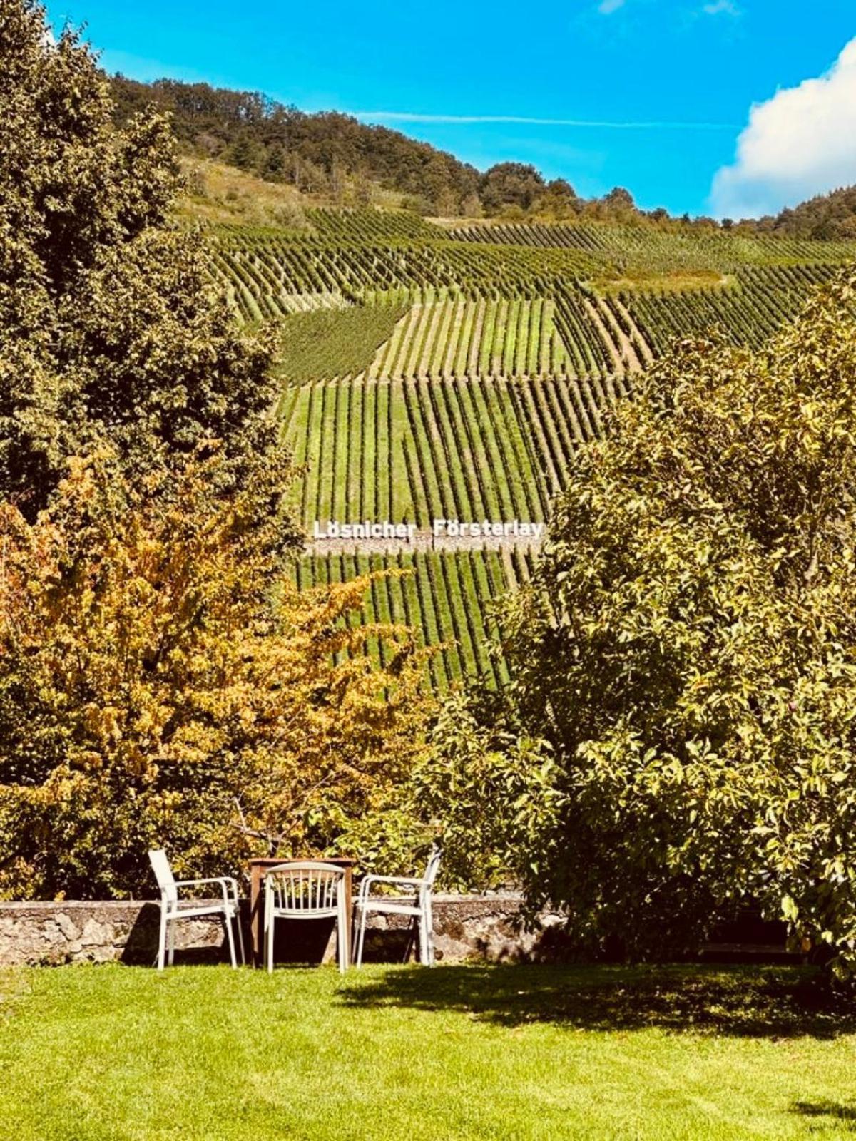 Gut Foersterlay - Exklusive Boutique Apartments Im Historischen Winzerhaus Direkt An Der Mosel Losnich ภายนอก รูปภาพ